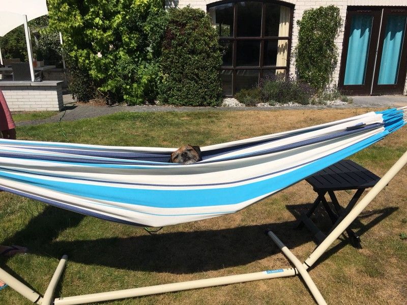 Unterkunft 010153 - Bungalow Texel - Heerlijk vakantiehuis