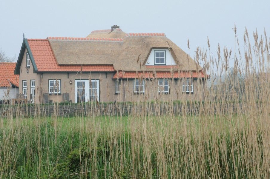 Vakantiehuis Sonja in Den Hoorn, Texel omgeven door natuur en riet.