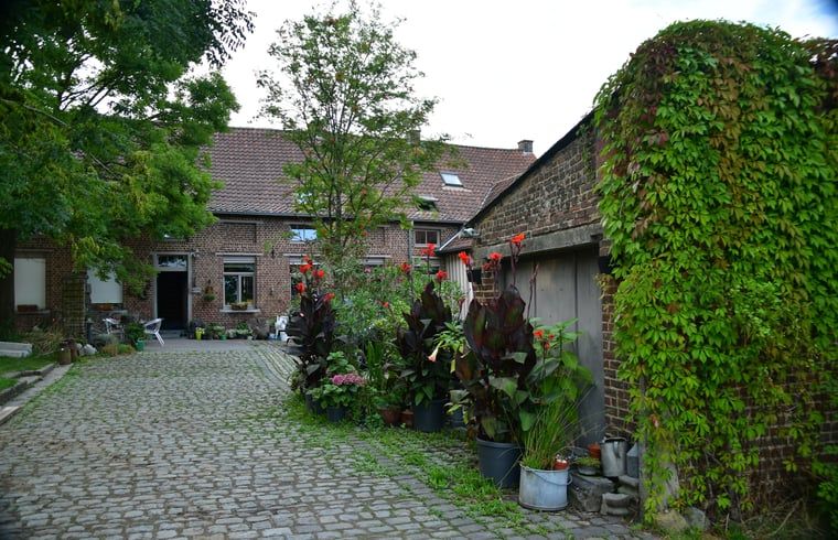 Groene omgeving bij Vakantiehuisje in Onkerzele, Geraardsbergen, met weelderige planten en rustieke charme in Oost-Vlaanderen.