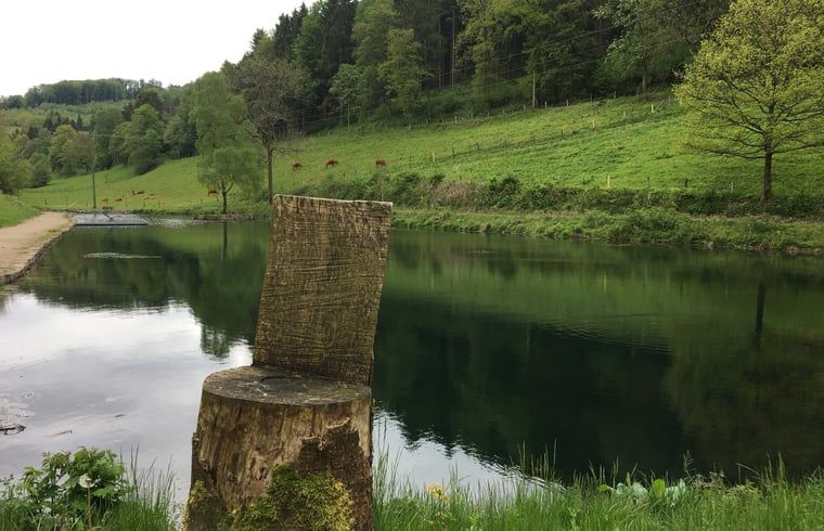 Verblijf 02816901 - Vakantiewoning Sauerland (Winterberg) - Vakantiehuisje in Schmallenberg-Oberkirchen