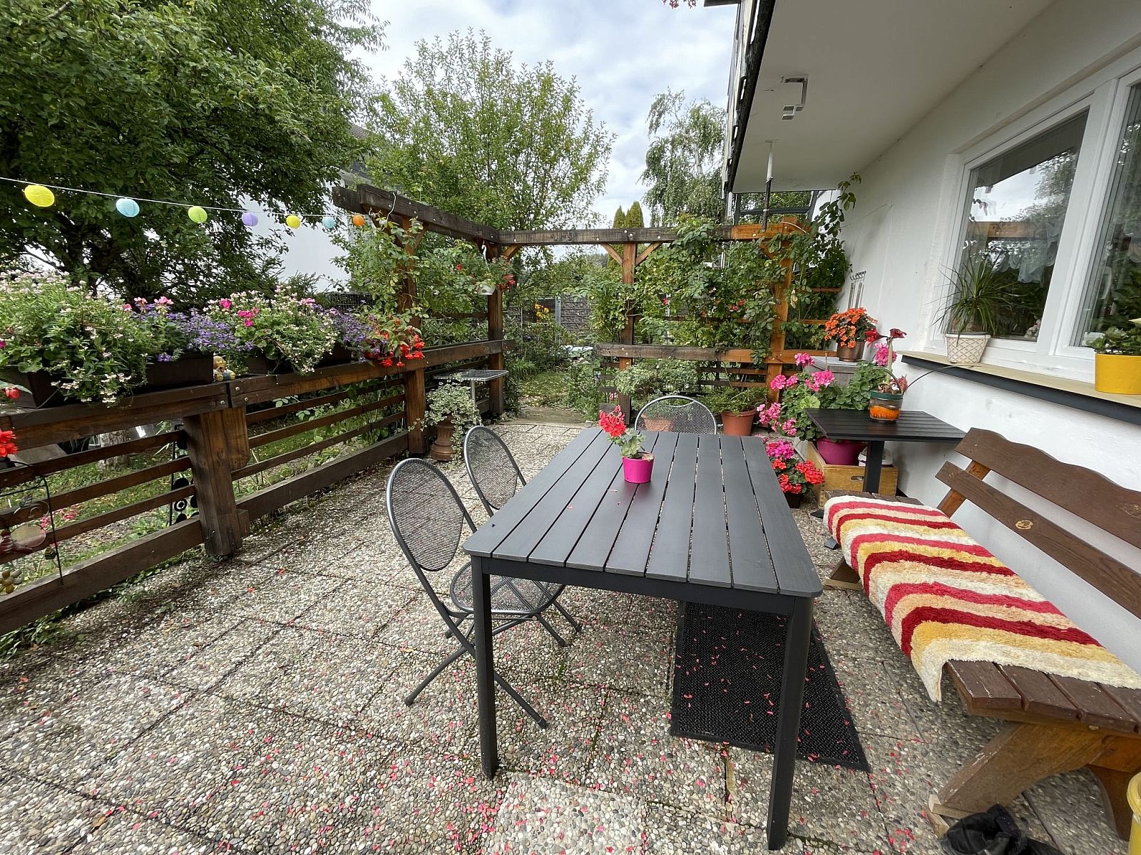 Guest house 03123701 - Apartment Black Forest - Appartement Spatzenparadies