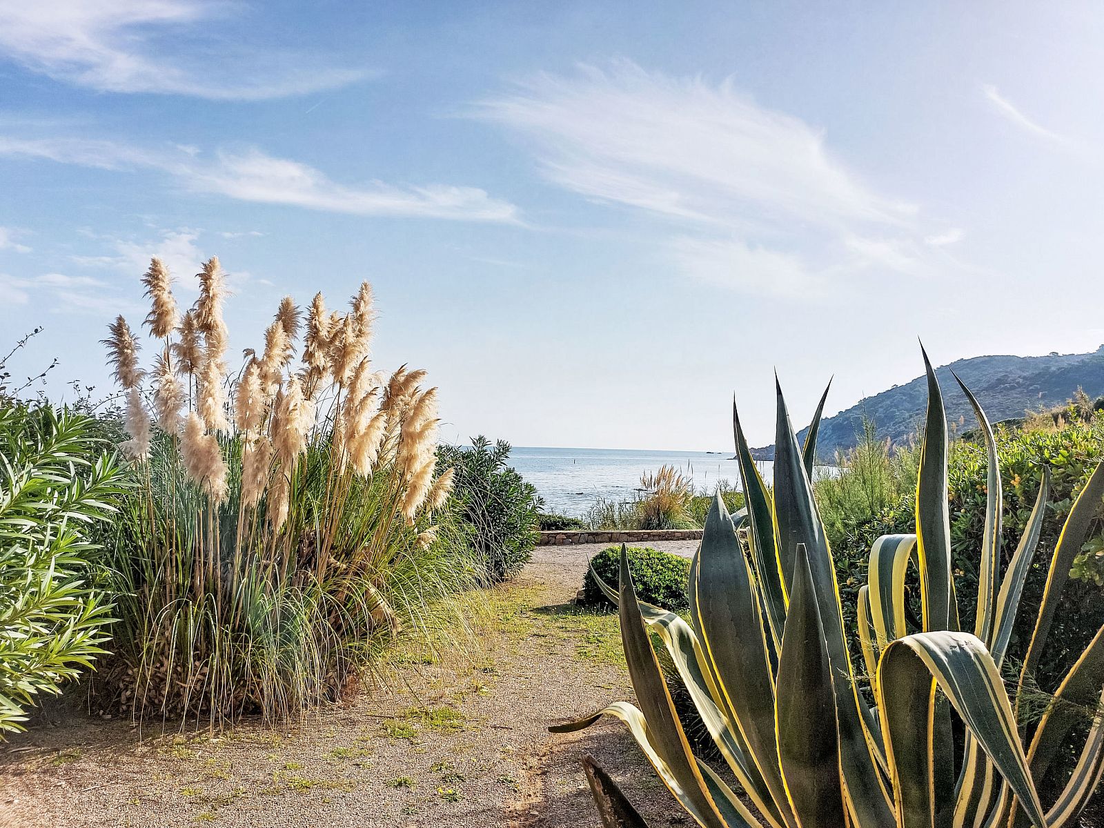 Verblijf 04810904 - Appartement Provence / Cote d'Azur - Appartement Bonne Terrasse