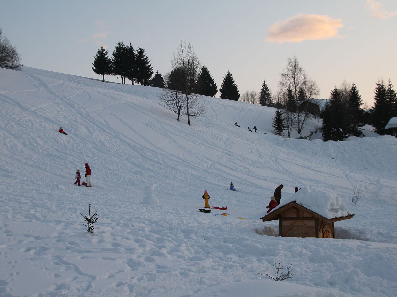 Unterkunft 0502703 - Ferienhaus Rhone-Alphes - Chalet Borderan