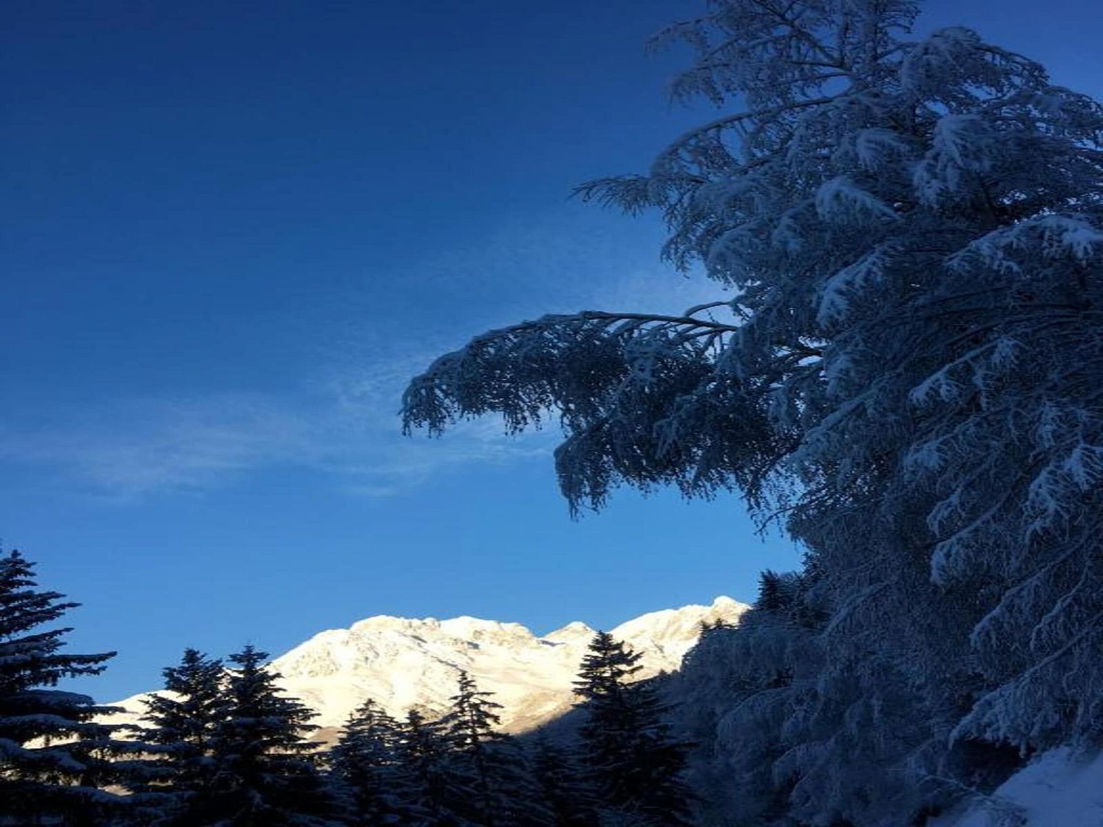 Guest house 05032727 - Chalet Rhone-Alphes - Chalet - Oz-en-Oisans