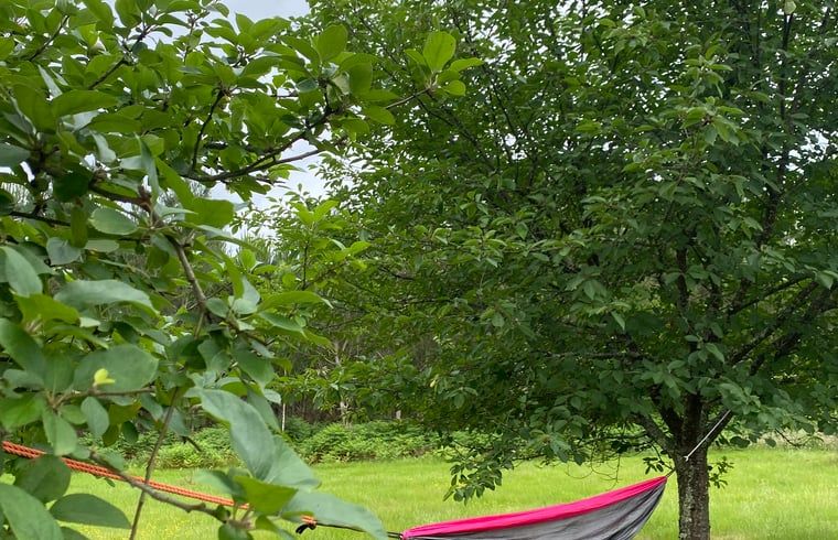 Verblijf 05476501 - Vakantiewoning Aquitaine - Vakantiehuis in Morcenx