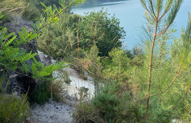 Verblijf 05476501 - Vakantiewoning Aquitaine - Vakantiehuis in Morcenx