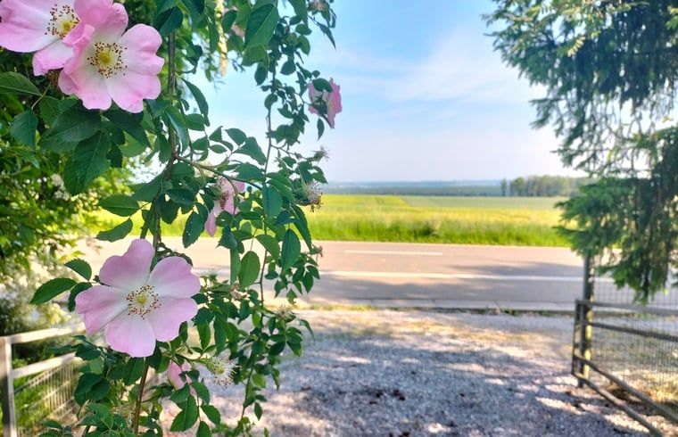 Guest house 084005 - Holiday property Namur - Huisje in Doische