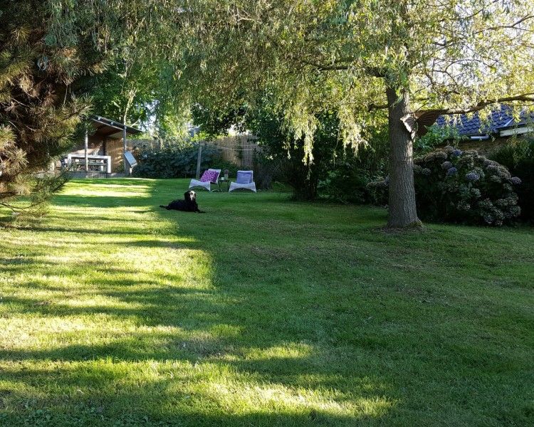 Quiet garden of vacation home Au Foyer in Durbuy, Ardennes, with green surroundings and shaded areas.