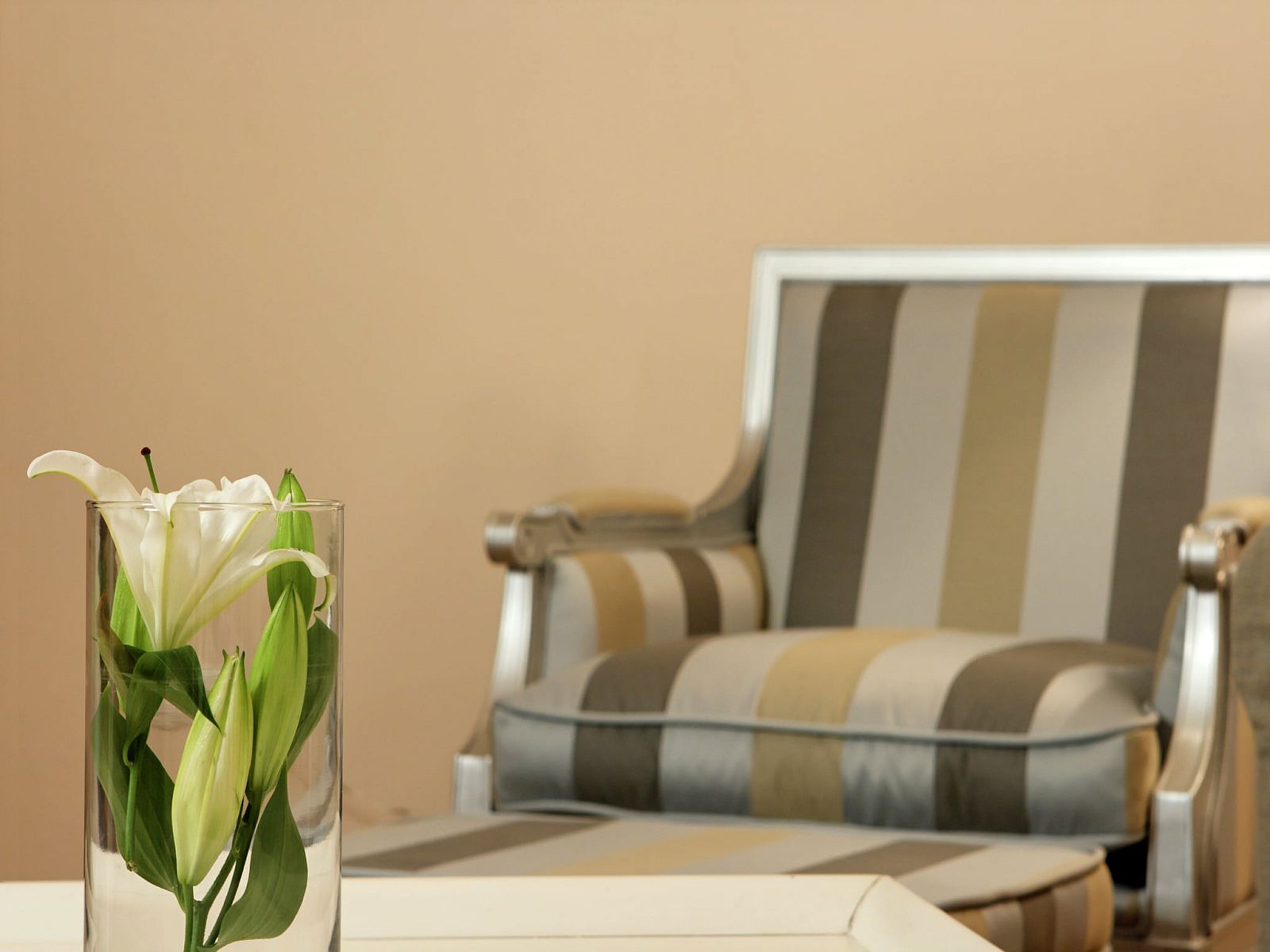 Guest house 1040903 - Holiday property Dalmatia - Villa Cvita