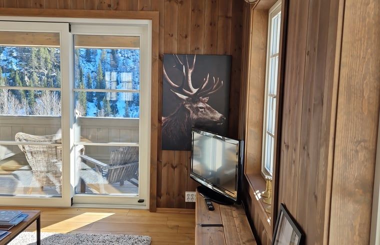 Verblijf 1066901 - Vakantiewoning Zuid Noorwegen - Vakantiehuisje in Bykle