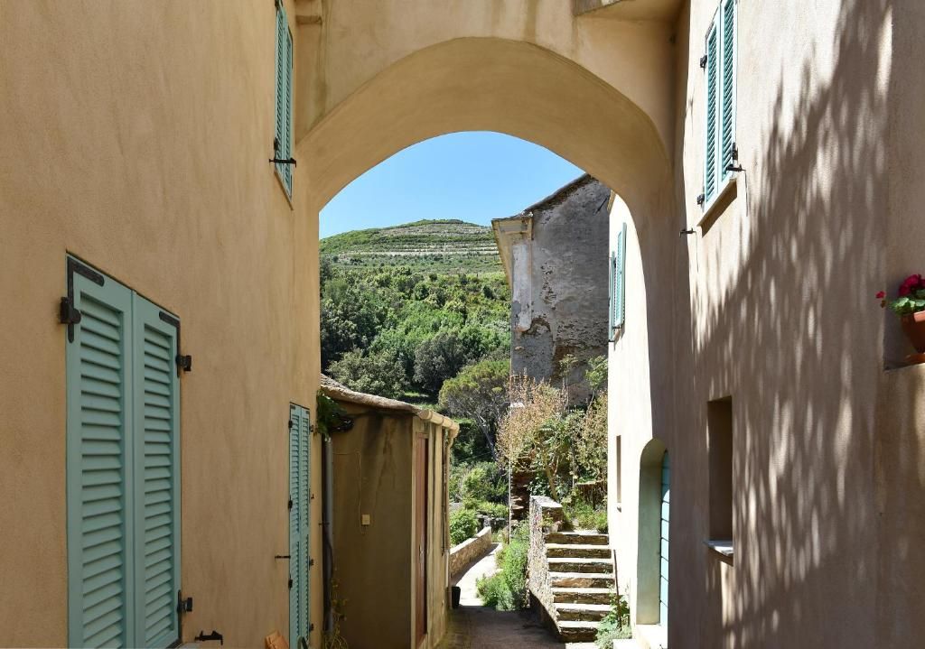 Guest house 11204301 - Apartment Corsica - U Patriarcu