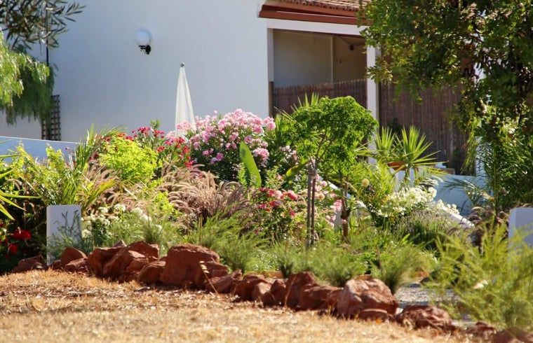 Verblijf 12712704 - Vakantiewoning Algarve - Vakantiehuisje in Querença