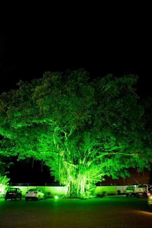 Verblijf 1326423 - Vakantiewoning Oost-Kaap - Africanos Country Estate