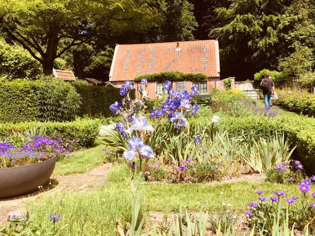 Verblijf 135002 - Bed and breakfast Noord-Holland zuid - Art+bed and breakfast