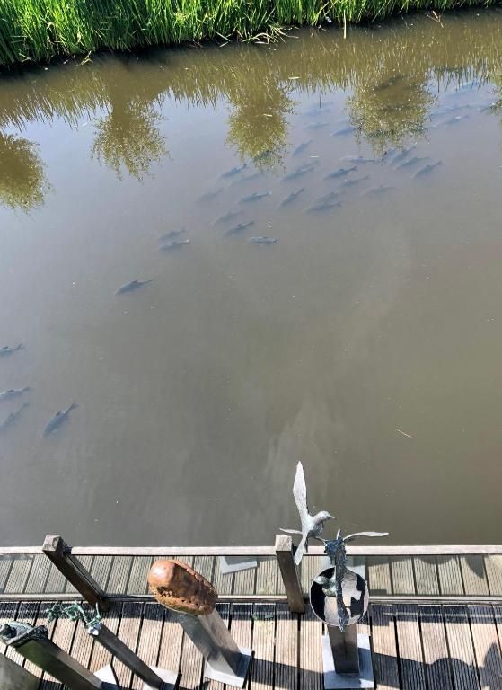 Verblijf 135002 - Bed and breakfast Noord-Holland zuid - Art+bed and breakfast