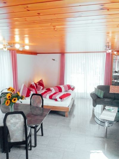 Hauschen appartement in Winikon, Zwitserland, biedt een sfeervolle woonkamer met een rustieke uitstraling en veel natuurlijk licht.