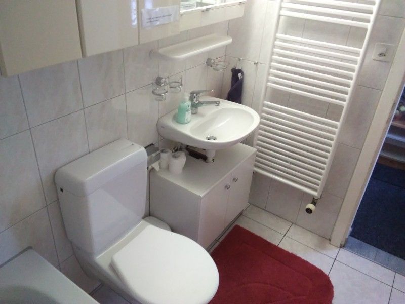 Stijlvolle sanitaire voorzieningen in het Hauschen appartement, Winikon, Zwitserland, met moderne wastafel en toilet.