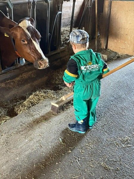 Verblijf 18106502 - Appartement Centraal Zwitserland - Häuschen