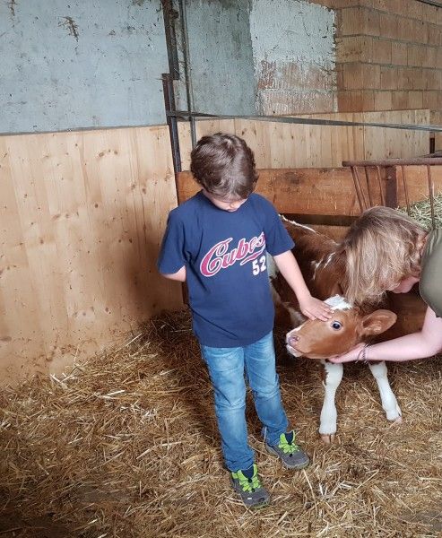 Verblijf 18106502 - Appartement Centraal Zwitserland - Häuschen