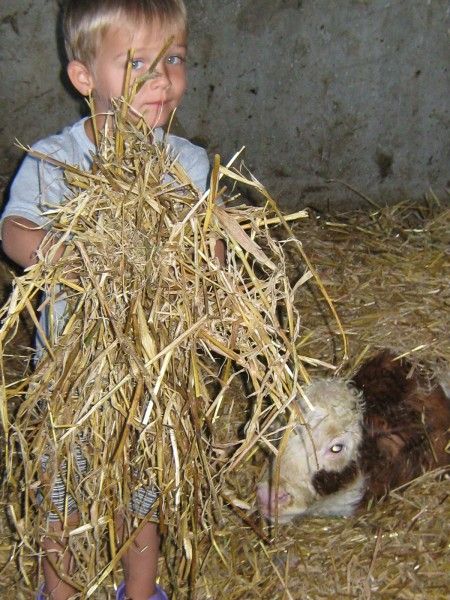 Verblijf 18106502 - Appartement Centraal Zwitserland - Häuschen