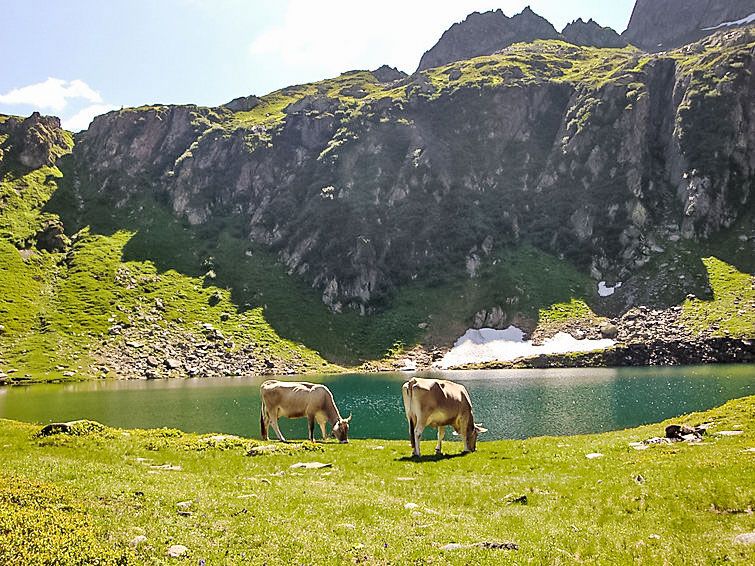 Guest house 1834102 - Apartment Ticino / Tessin - Appartement Strecce 2