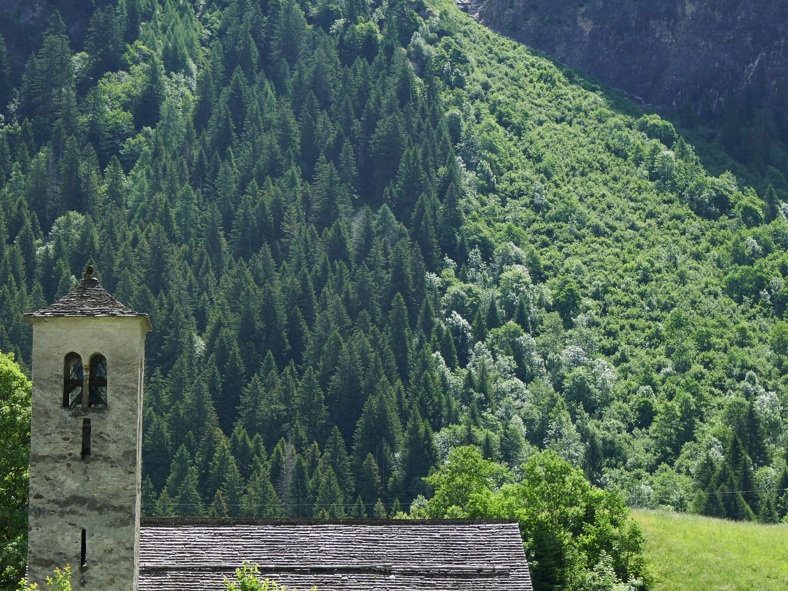 Verblijf 1838705 - Appartement Ticino / Tessin - Appartement Prou Forestside