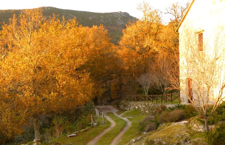 Verblijf 2112104 - Vakantiewoning Het groene Spanje - Vakantiehuis in A Lama