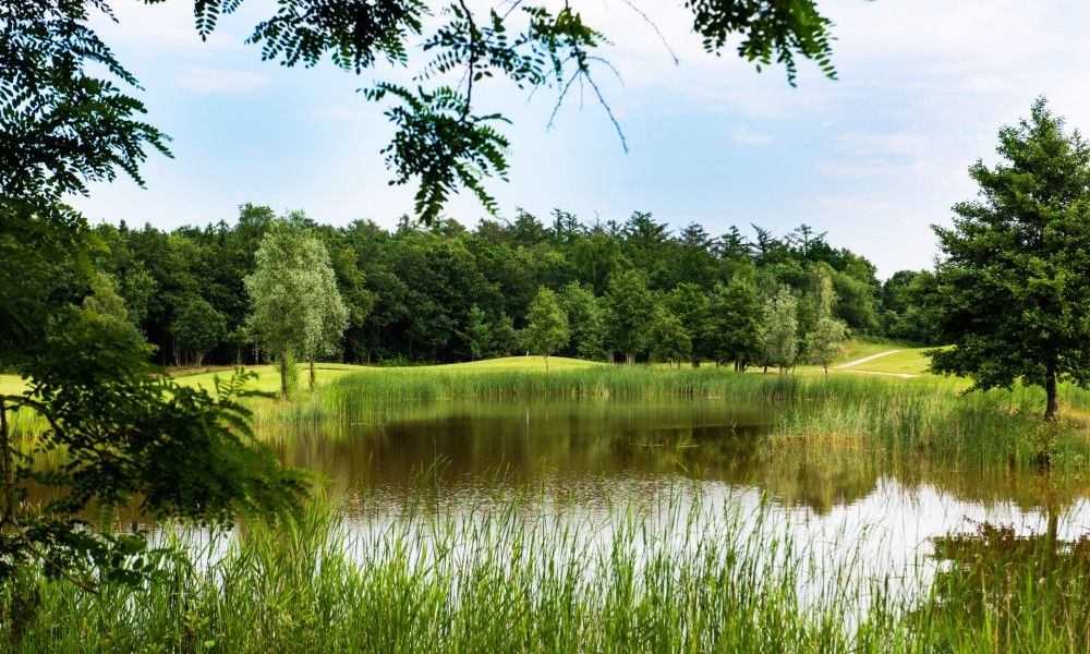 Verblijf 230367 - Vakantiewoning Friese bossen - Vakantiehuis Applescha