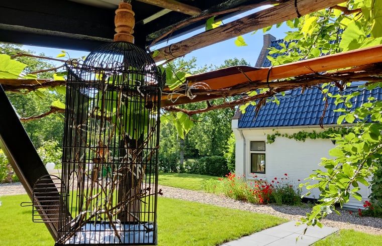 Gezellige veranda bij Vakantiehuisje in Ruigahuizen, omgeven door natuur in Friesland.