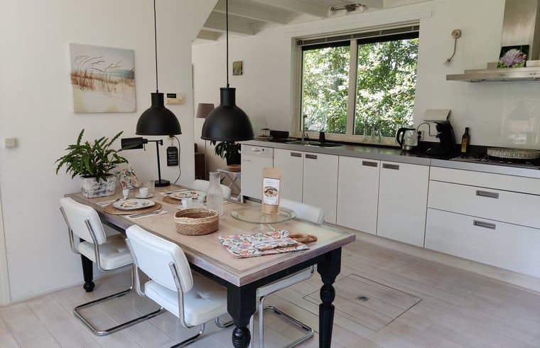 Moderne keuken in Vakantiehuisje in Ruigahuizen met uitzicht op de Friese bossen, Friesland.