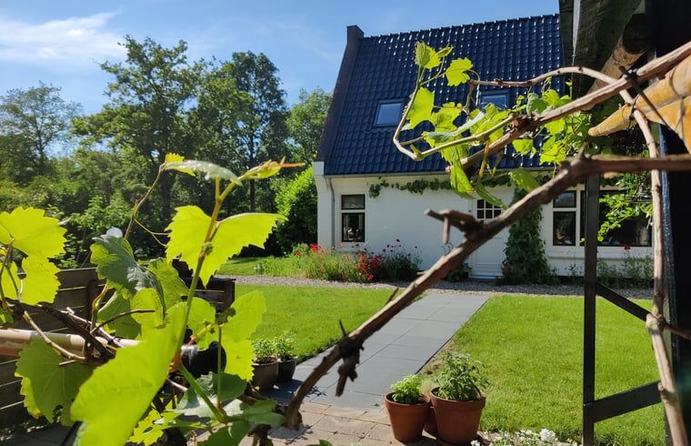 Groene tuin bij Vakantiehuisje in Ruigahuizen, ideaal voor ontspanning in Friesland.