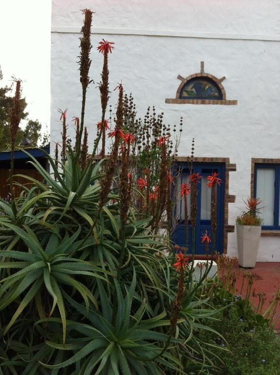 Verblijf 2327202 - Vakantiewoning West-Kaap - Lookout Darling