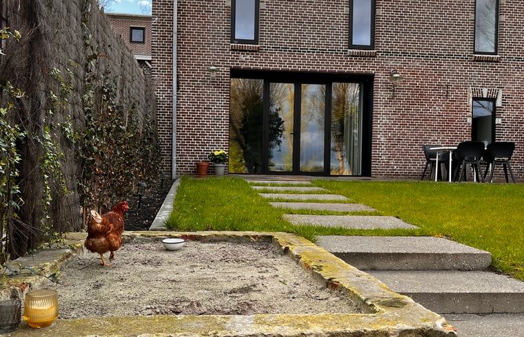 Gezellige tuin van Vakantiehuisje in Lioessens met een kip, gelegen in Friesland, op het platteland.