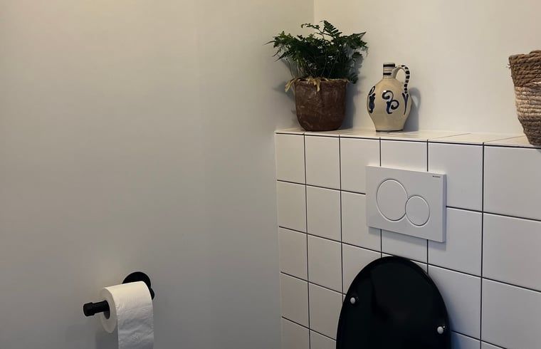 Stijlvolle badkamer van Vakantiehuisje in Lioessens, gelegen in Friesland, op het Friese platteland.