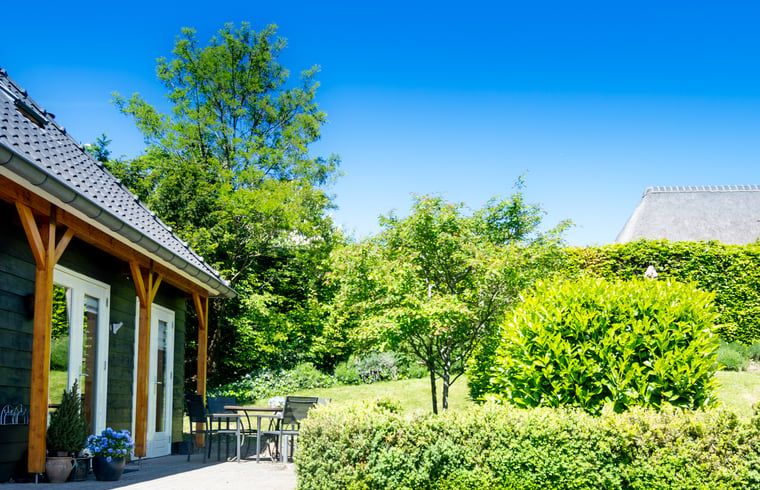 Geniet van de groene tuin bij Huisje in Aerdt, een vakantiehuis in het Rivierengebied van Gelderland.