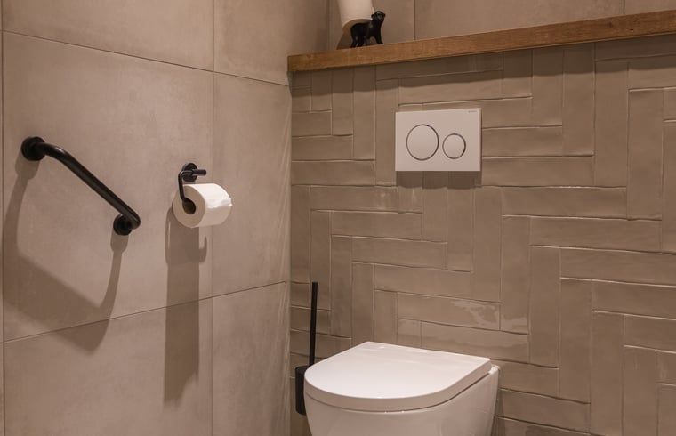 Sleekly designed toilet in Holiday home in Beneden-Leeuwen, Gelderland.