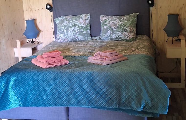 Guest house 296211 - Holiday property Achterhoek - Huisje in Breedenbroek Achterhoek