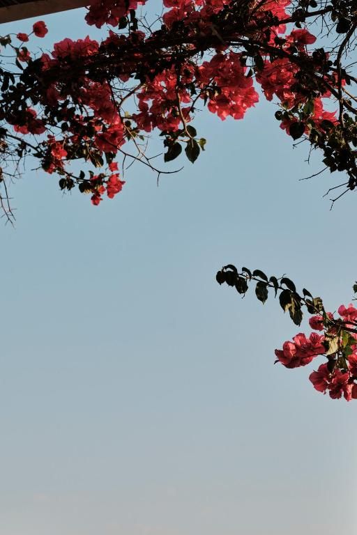 Verblijf 34016003 - Vakantie appartement Mallorca - Prinsotel La Caleta