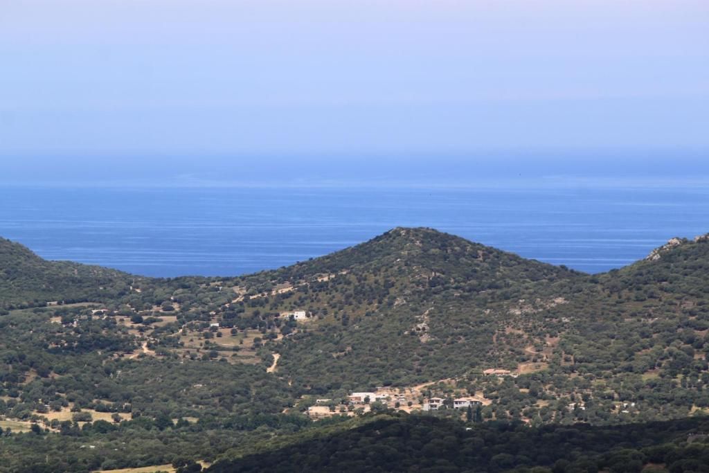 Verblijf 3404305 - Vakantie appartement Corsica - Hôtel Le Niobel