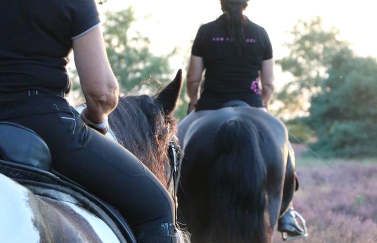 Unterkunft 436404 - Ferienhaus Noordoost Brabant - Vakantiehuisje in Ledeacker