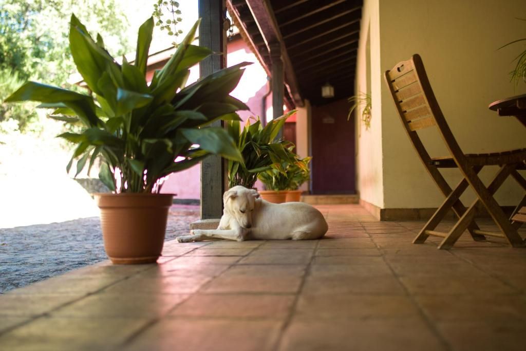 Verblijf 4715701 - Appartement Extremadura - Apartamentos Casasturga