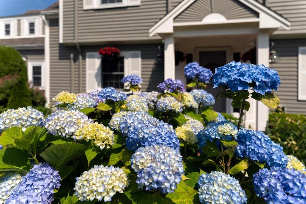 Verblijf 5025102 - Bed and breakfast New England - Old Harbor Inn