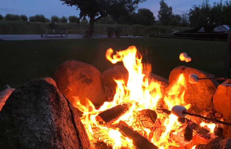 Verblijf 552014 - Vakantiewoning Noordwest Overijssel - Vakantiehuis in Wetering