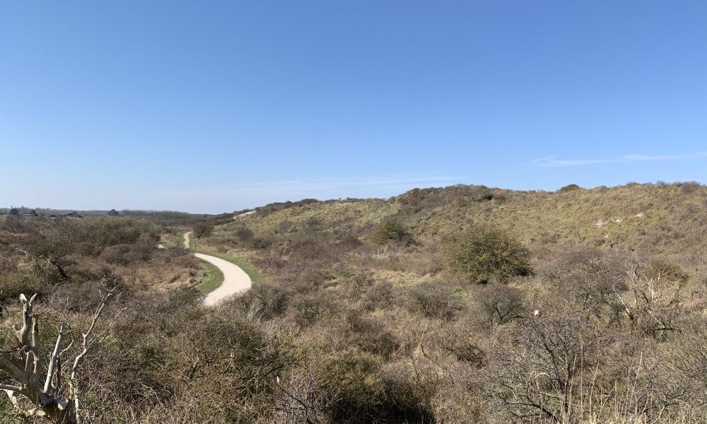 Guest house 600798 - Chalet Schouwen-Duiveland - Eureka Park Chalet 98