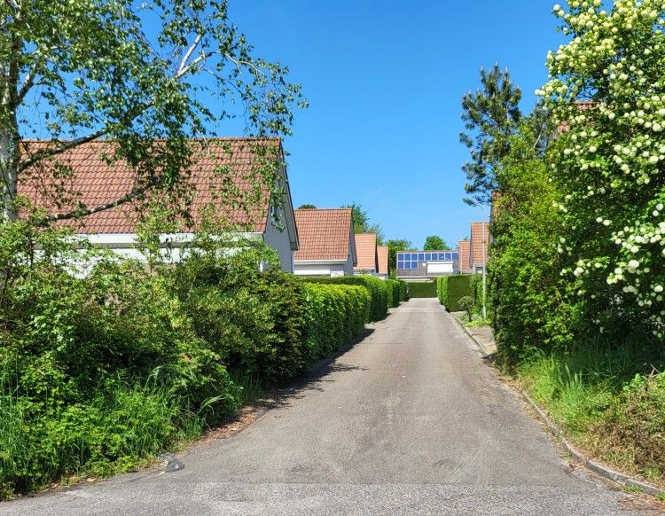 Guest house 603701 - Holiday property Schouwen-Duiveland - De Duunhaes