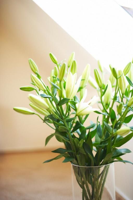 Verblijf 6102706 - Vakantie appartement Rijnland-Palts - Hotel Am Helmwartsturm