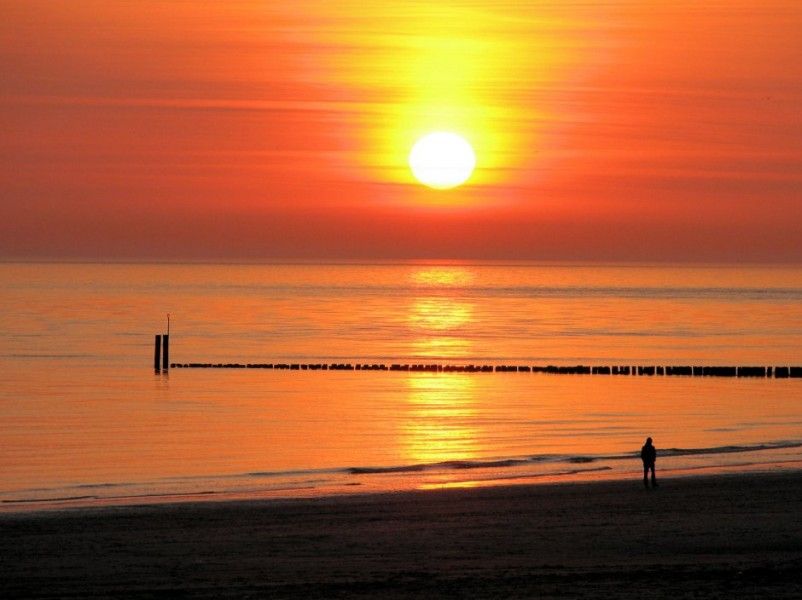 Guest house 620302 - Bungalow Walcheren - Joossesweg 194