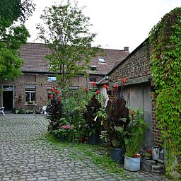 Groene omgeving bij Vakantiehuisje in Onkerzele, Geraardsbergen, met weelderige planten en rustieke charme in Oost-Vlaanderen.