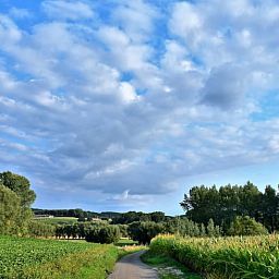 Adembenemend landschap rondom Vakantiehuisje in Onkerzele, Geraardsbergen, met uitgestrekte velden in Oost-Vlaanderen, Belgie.
