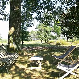 Guest house 05465002 - Holiday property Aquitaine - Vakantiehuisje in Castets